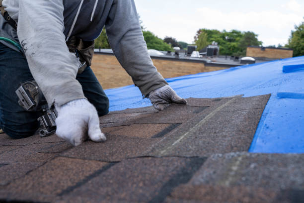 Best Sealant for Roof  in Foresthill, CA