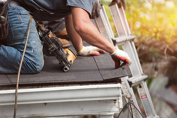 Best Roof Gutter Cleaning  in Foresthill, CA
