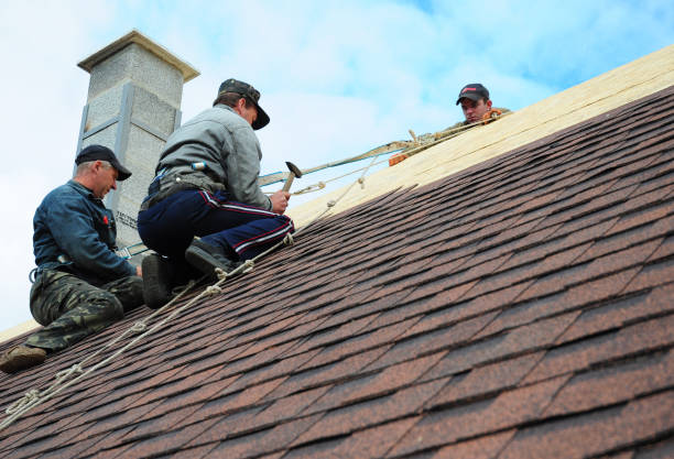 Best Gutter Installation and Roofing  in Foresthill, CA